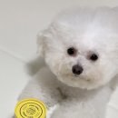 영지메디컬 이미지