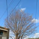 신당리마을회관 이미지