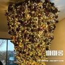 마마롱 <b>마마롱</b> | 제주 애월 블루리본 받은 크리스마스 감성 카페 강추