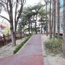 114공인중개사사무소 이미지