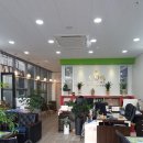 토박이공인중개사사무소 이미지