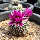 산정농장 이미지