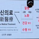 더샤인글로벌 이미지