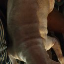 고복수변공원 이미지