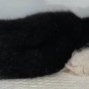 신흥4리마을회관 이미지