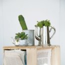 업사이클링 지도사 이미지