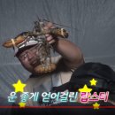 밤밭실내낚시터 이미지