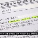 국내 첫 &#39;고양이 집단 폐사&#39;…감염 경로 추적 중 이미지