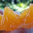 새별농장 이미지