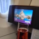 218 | QR218 ZAG - DOH 카타르 항공 비즈니스 클래스 후기