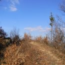 서천 건지산성 이미지