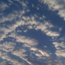 물과숲민박 이미지