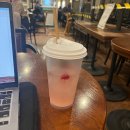짜드라(ZZADRA) | [T프렌즈_4기] 자주 가는 카페에서 해피해빗으로 지구 지키는 방법 🌎🌳