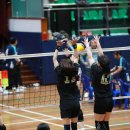 진안마이산(익산) 이미지