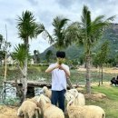 준모농장 이미지