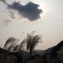 향동초등학교 이미지