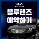 블루핸즈제주대형점㈜ | 제주시 블루핸즈 1분 예약,일요일 영업시간 여기서 빠르게 확인하세요