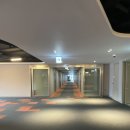 소노벨, 소노문 델피노 | 고성 속초 숙소 4살아이랑 소노벨 델피노 묵은 후기 (teat.식객)