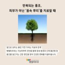 벧엘피부과의원 이미지