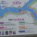 장성게이트볼장 티스토리
