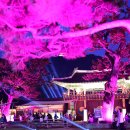 화성행궁 이미지