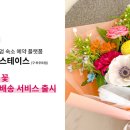 바카티오 이미지