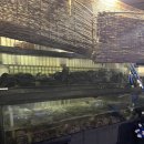 증포파출소 이미지