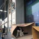 이마트24 무의중심점 네이버블로그