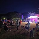 무릉도원면-9 이미지