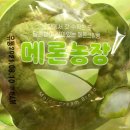새로운 신상템털어보기! ( CU 메론농장, 아몬드민트, 말표 청포도에일, 민트초코소주, 크라운 할라피뇨...