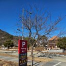 계룡산 띠울골 고구마 마을 | [공지] 세종 근교 데이트코스 파크오브드림 펜션 글램핑장