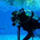 스쿠버월드 이미지