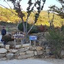 고성장좌리캠핑장 이미지
