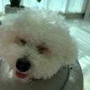 세븐일레븐 서교한우물점 이미지