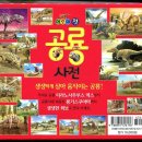 (주)디엔에스공오