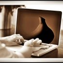 영란여자중학교 이미지