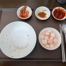 옳죽
