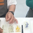 GR(울진군)-[울진중앙로]-상-2 | 울진캔들공방 얼루어룸 방문수업 원데이클래스 후기 : 울진장애인종합복지관