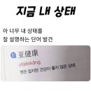 신촌 | [대전/서구] 쫀득한 도가니탕 몸보신 맛집 '신촌설렁탕 만년점' 내돈내산 후기