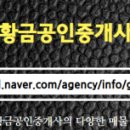 대방황금공인중개사사무소 이미지