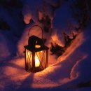 천진슈퍼 민박 | 오후도 서점 이야기-후기+줄거리 요약