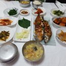 금와백반