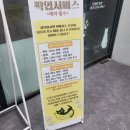 고양이분양 반하나캣 | 파주고양이분양 반하나캣에서 귀여운 아기고양이 데리고 온 후기