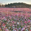 인천국제공항 하늘정원 내 이미지