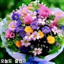 병원 동행 매니저1 이미지