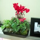 큐&정원 이미지