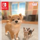 주식회사 펫프렌즈 이미지