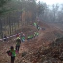 봉황태권도장 이미지