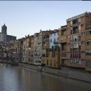 원예심리상담사 이미지