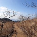 광주055 이미지